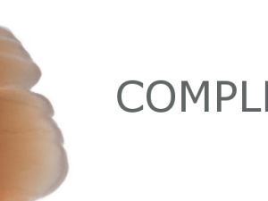 Curso Teórico-Práctico sobre estratificación con composites (marzo – abril 2017)